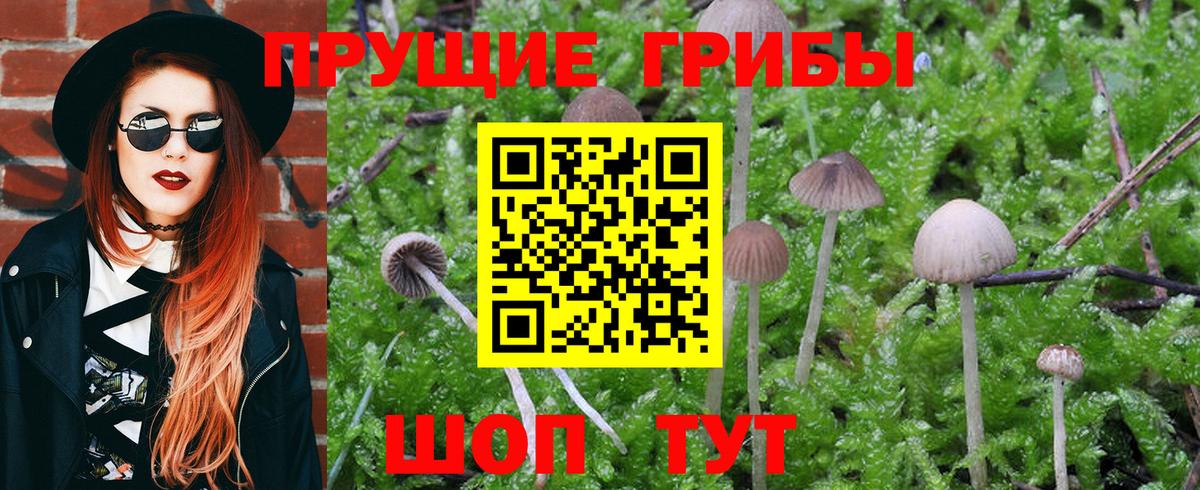 Псилоцибиновые грибы MAGIC MUSHROOMS Гусь-Хрустальный