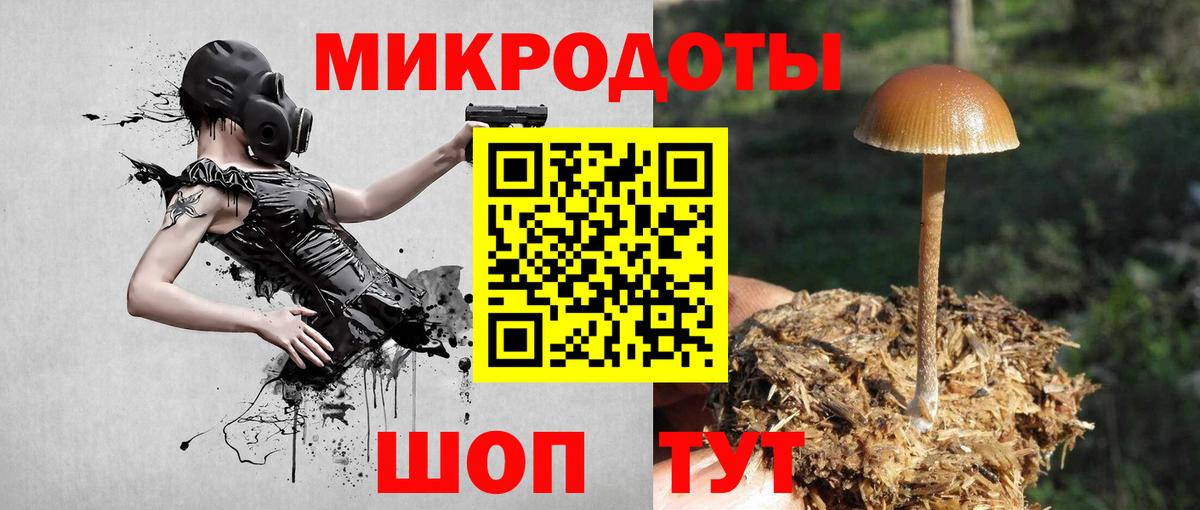 продажа наркотиков  Псилоцибиновые грибы GOLDEN TEACHER  Псилоцибиновые грибы MAGIC MUSHROOMS  Вход с VPN  Гусь-Хрустальный 